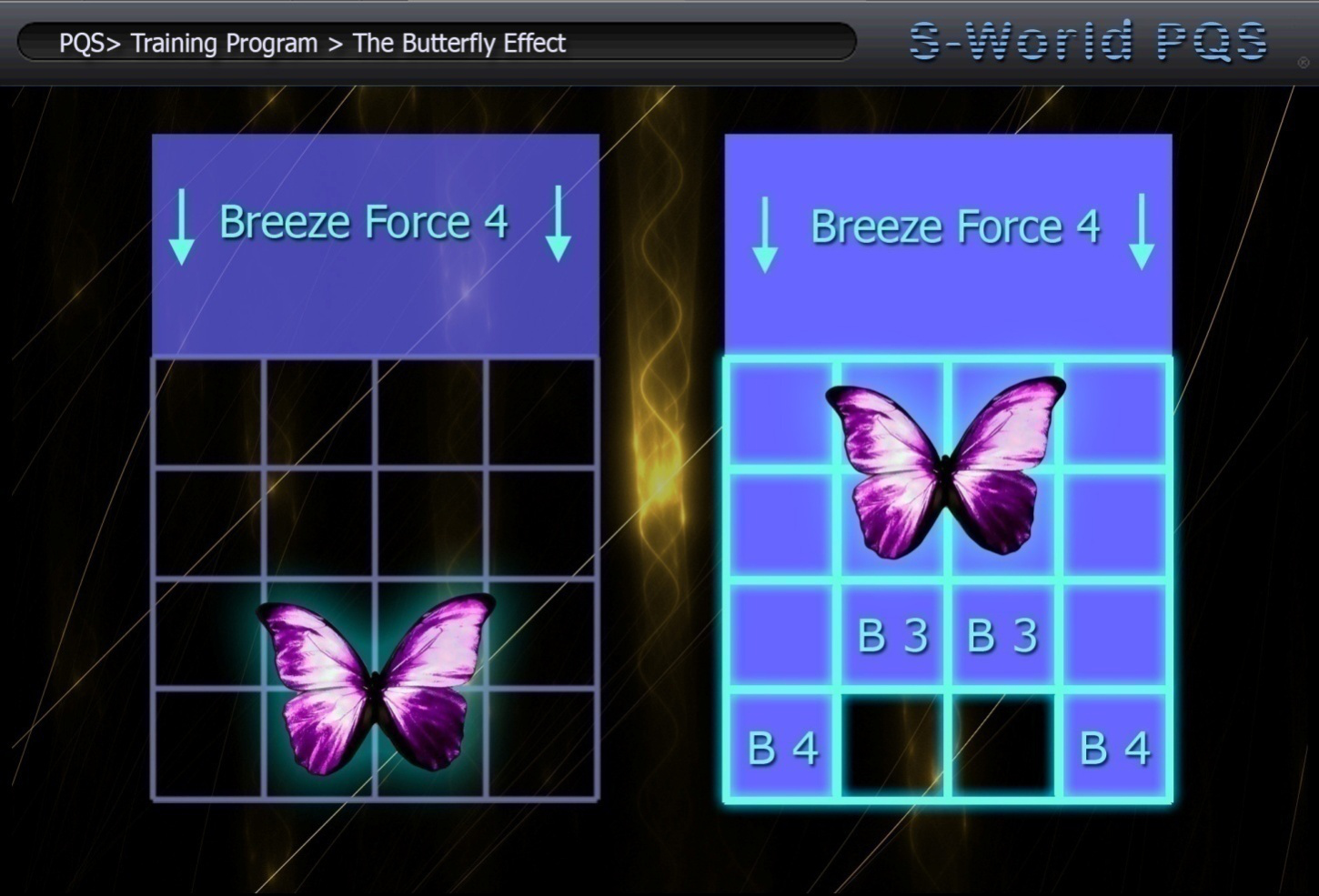 training-program-the-butterfly-effect