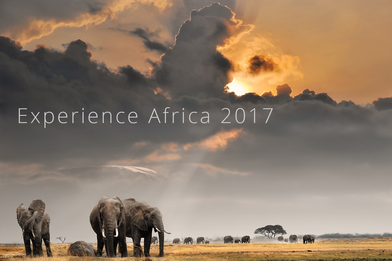 expereince_africa1_2017