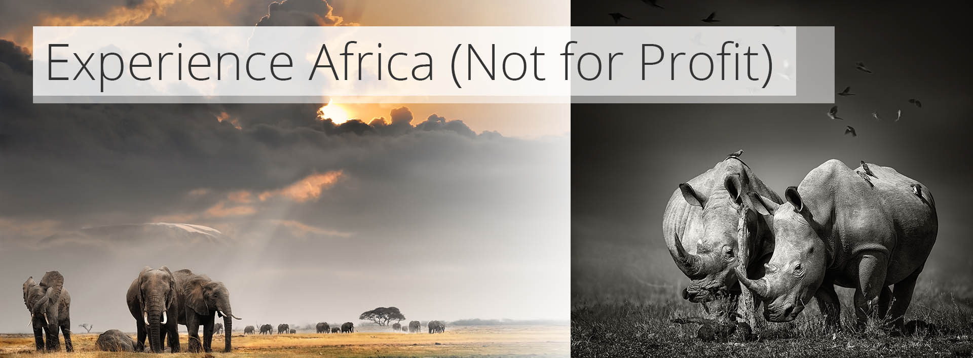 Experience Africa (Not for profit)