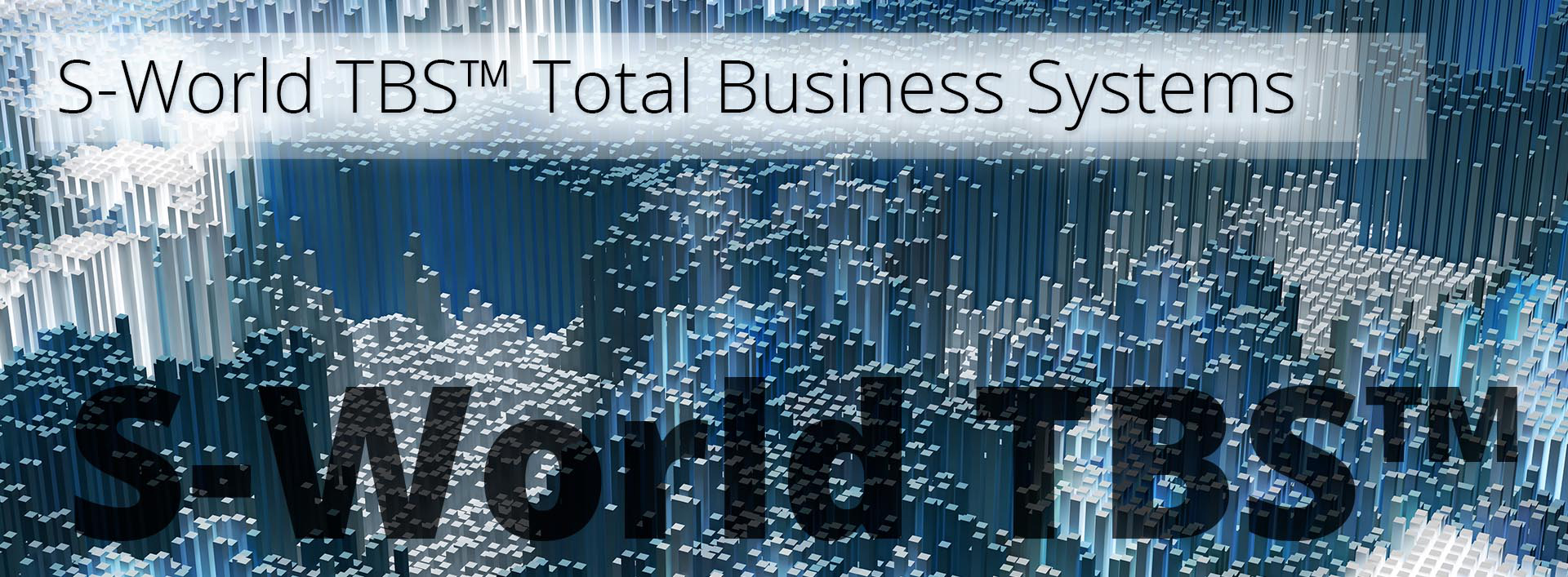 S-World TBS-Total Business Systems