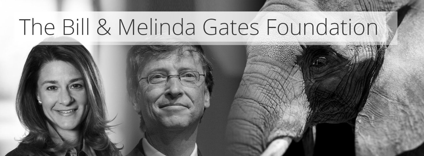 The Bill and Melinda Gates Foundation