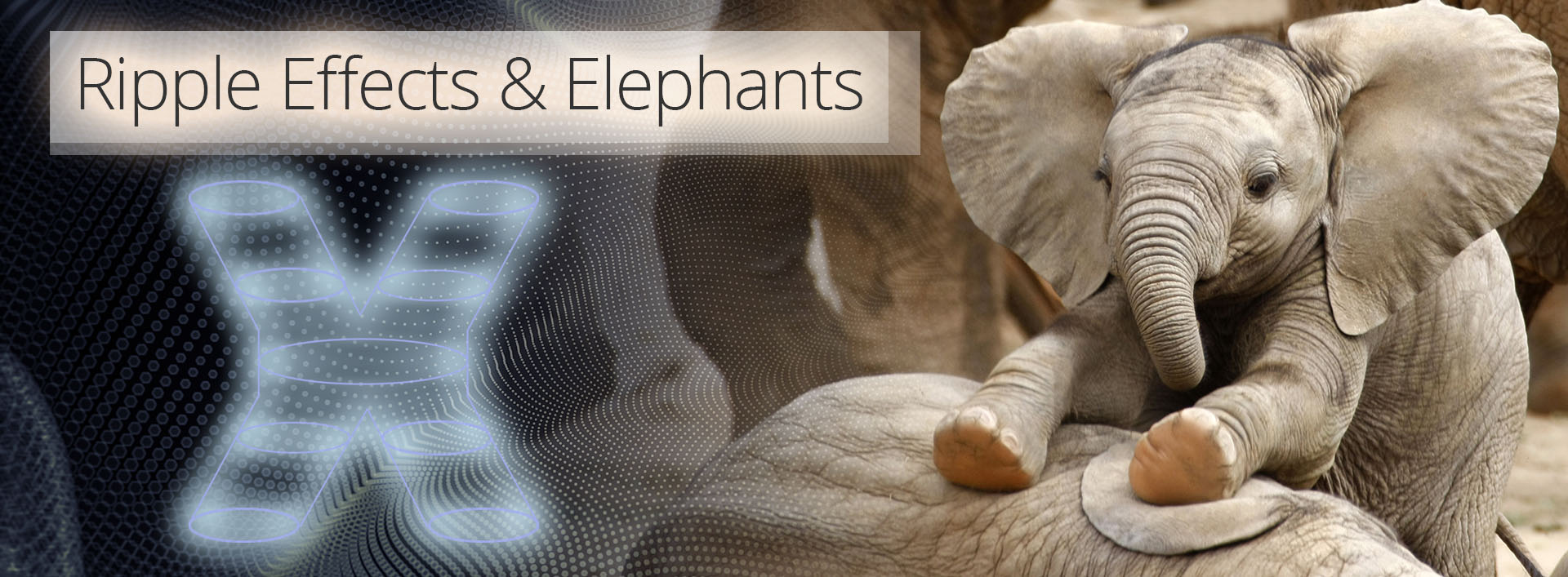 Ripple Effects & Elephants