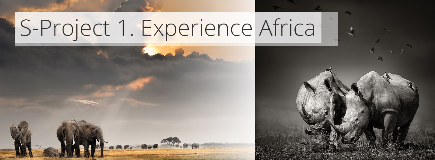 S-Project 1 Experience Africa